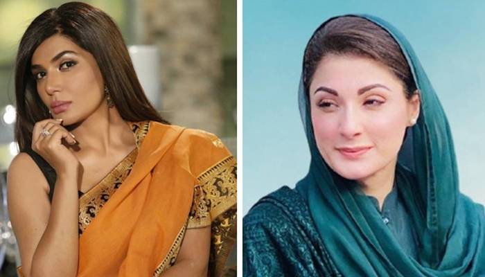 عفت عمر نے مریم نواز کی حمایت کرنے کا راز فاش کردیا