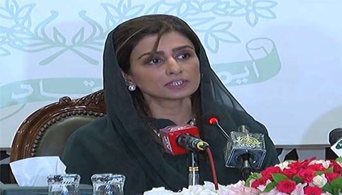 گرے لسٹ سے نکلنے کا عمل شروع ہوا، جشن منانا قبل از وقت ہوگا: حنا ربانی کھر