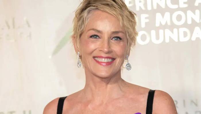 sharon stone actoress