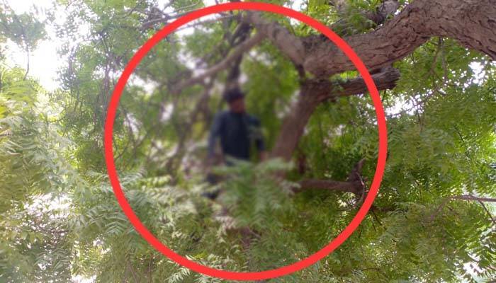 Dead Body Hanging with Tree at Karachi