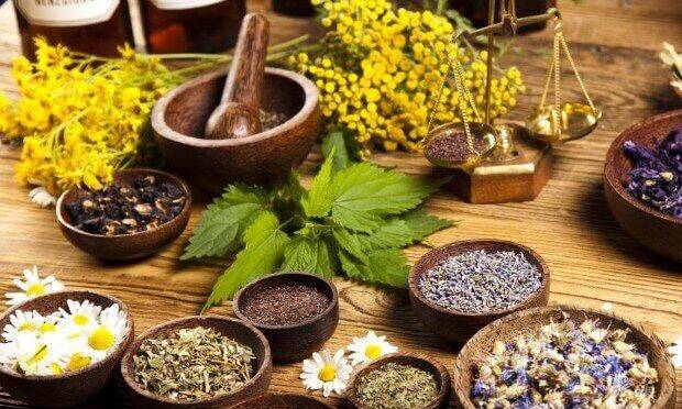 herbs for human body