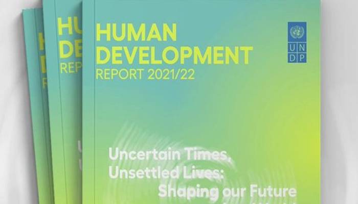 undp report