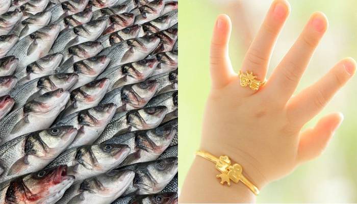 FISH AND GOLD RING