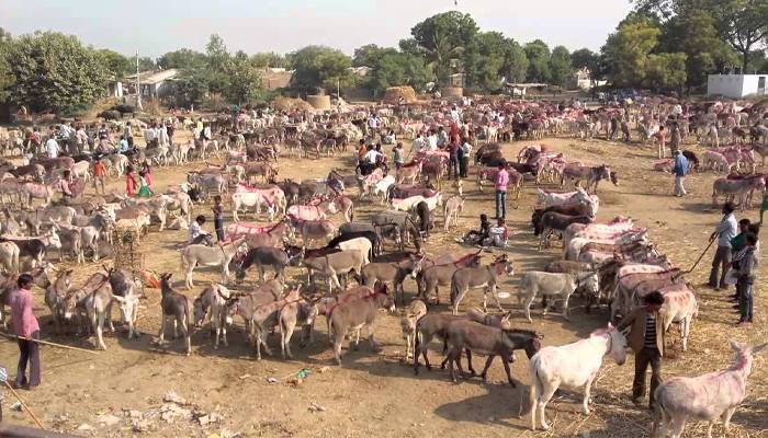 donley fair in madhya paradesh