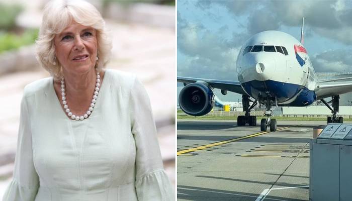 Queen Consort’s plane damaged after it was hit by bird 