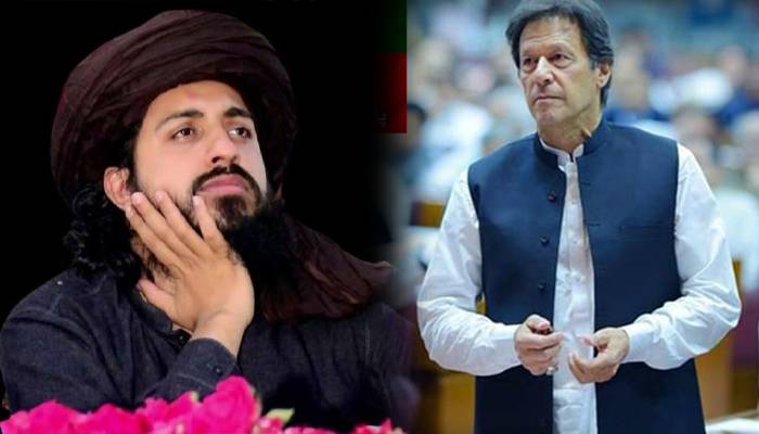 Tehreek-e-Labaik Pakistan downed PTI's wicket