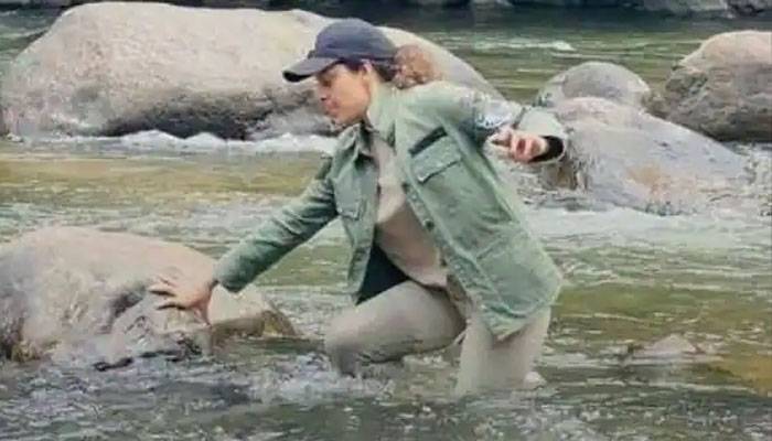 The famous actress fell into the river