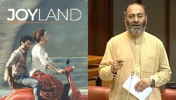 سینیٹرمشتاق احمد کا فلم 'جوائےلینڈ' پر پابندی لگانے کا مطالبہ