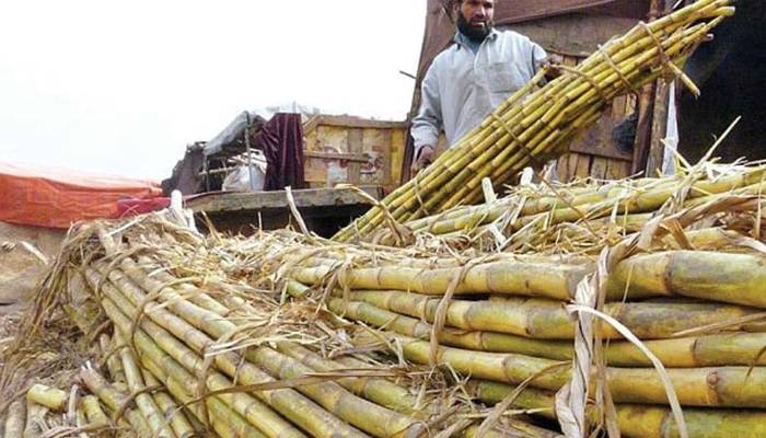 جہانگیرترین کی شوگرملز کا 25نومبر سے گنے کی کرشنگ کااعلان