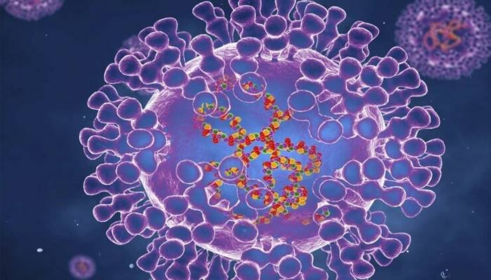 عالمی ادارہ صحت نے منکی پاکس کا نام بدل دیا