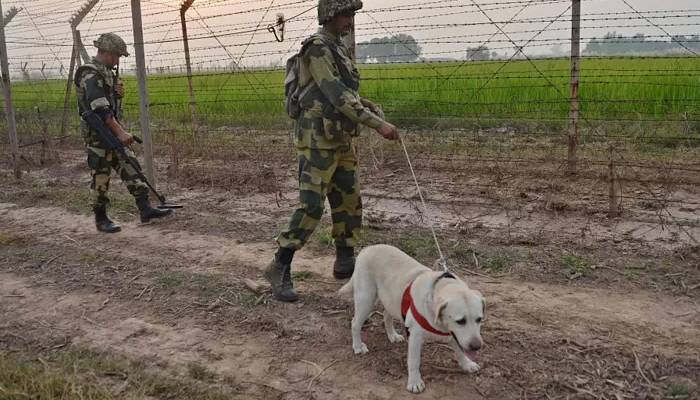 bsf snifer dog on border