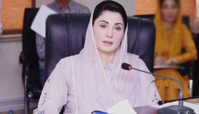 مریم نواز کا پارٹی عہدہ سنبھالتے ہی بڑے فیصلے