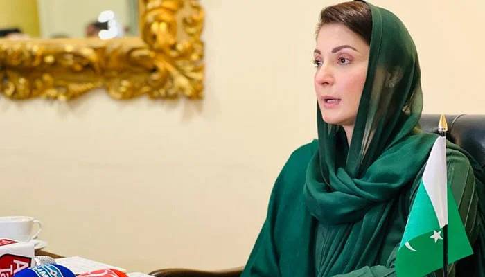 مریم نواز شریف کی 29 جنوری کو وطن واپسی