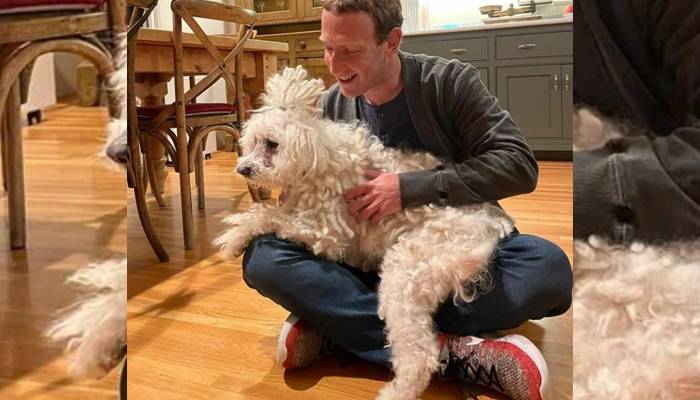 meta zuckerberg dog