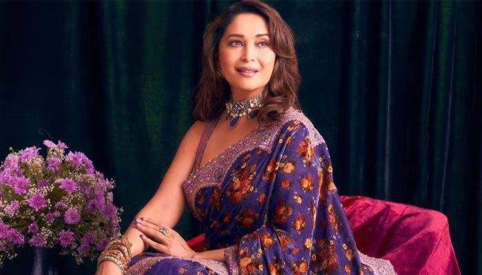 netfelix faces court on madhuri dixit insult 