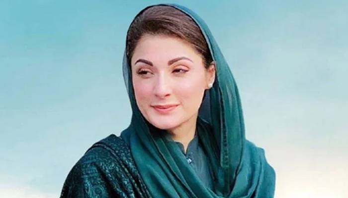 مریم نواز پارٹی کو منظم کرنے کیلئے متحرک ہو گئیں