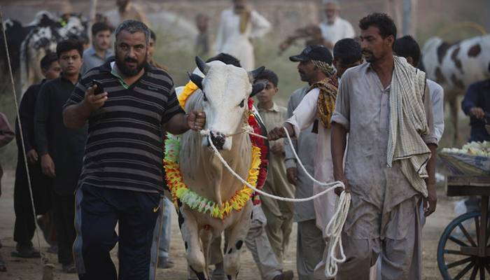 عیدالاضحٰی کب منائی جائے گی؟