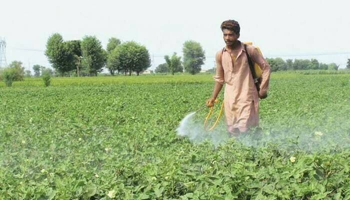  خشک مون سون  کی پیشگوئی،فصلیں متاثر ہونے کا خدشہ