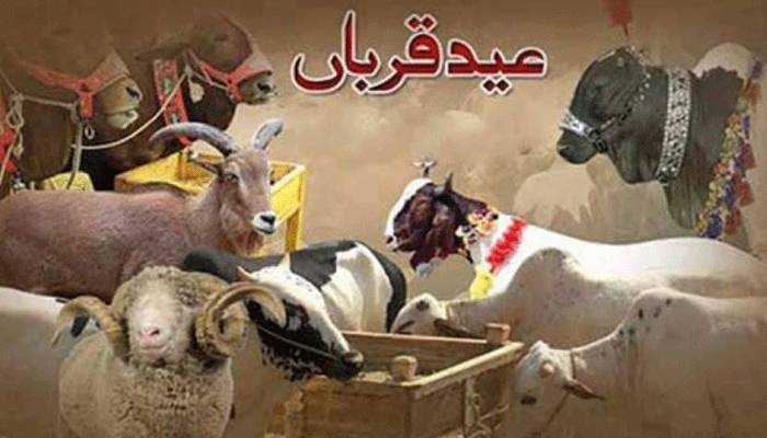 ملک بھر میں عیدالاضحیٰ آج مذہبی جوش وجذبےسےمنائی جا رہی ہے