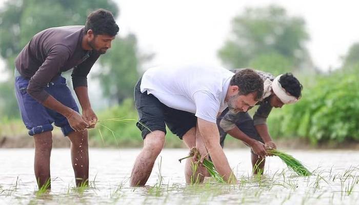 کانگریس کے رہنمااہول گاندھی صبح سویرےگاؤں پہنچ گئے،کسان حیران