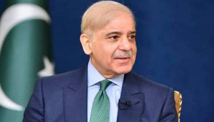 پلاٹ الاٹمنٹ کیس میں واضح لکھا ہے نوازشریف پر کیس تھا نہیں بنایا گیا،شہبازشریف