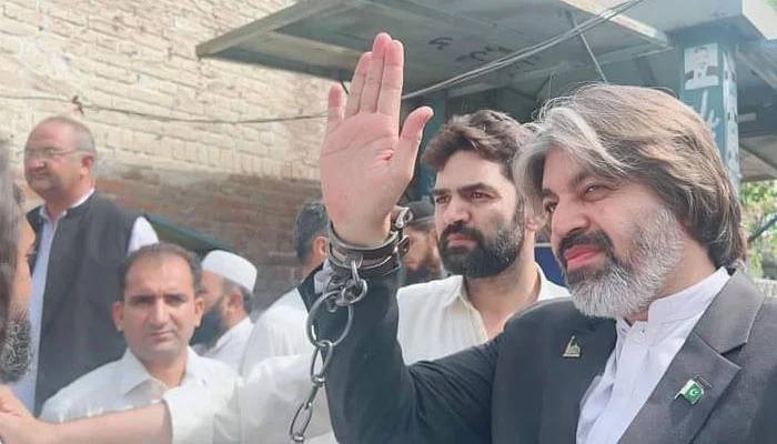 علی محمد خان رہائی کے بعد اٹھویں بار گرفتار