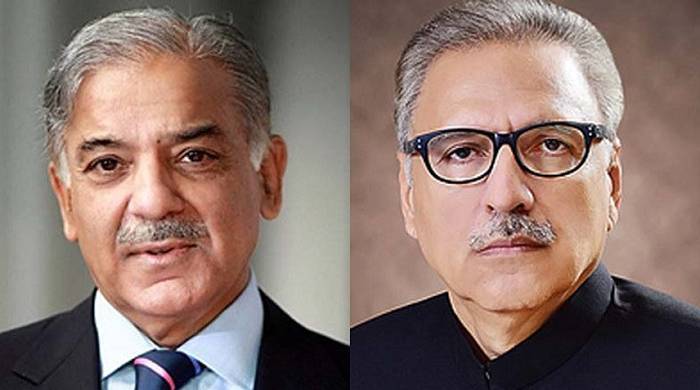 shahbaz & arif alvi