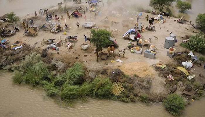 دریائےستلج میں سیلاب سےتباہی،بندٹوٹ گئے،درجنوں دیہات زیرآب