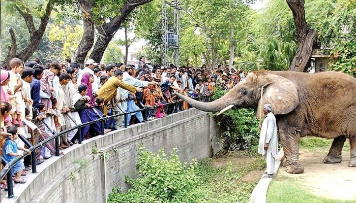 چڑیا گھر اورسفاری پارک کو انٹرنیشنل سٹینڈرڈ پر اپ گریڈ کرنے کی منظوری