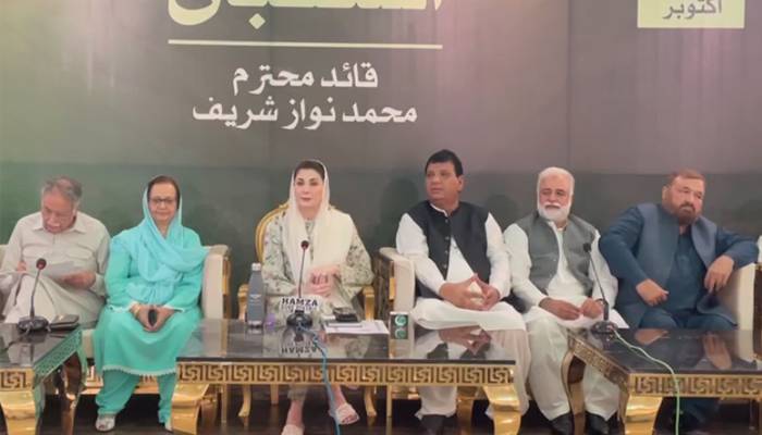 نواز شریف خوش آمدید، مایوسی کے اندھیرو الوداع، مریم نواز کا پیغام آگیا