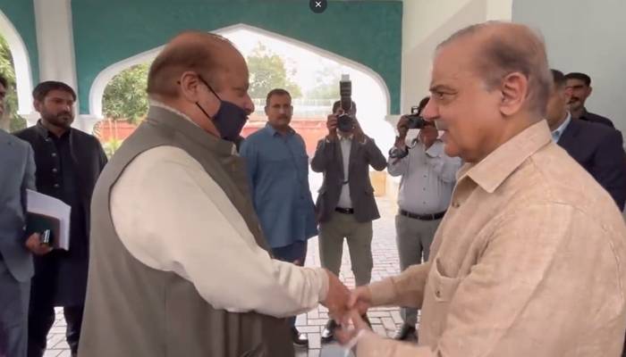 زرداری، نواز رابطہ: شہباز شریف کو سیاسی جماعتوں سے رابطوں کا ٹاسک مل گیا