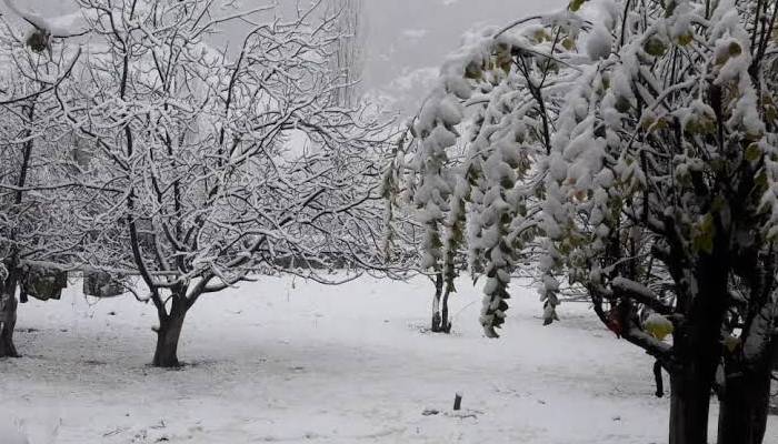 بالاکوٹ میں برفباری، شاہراہ بند