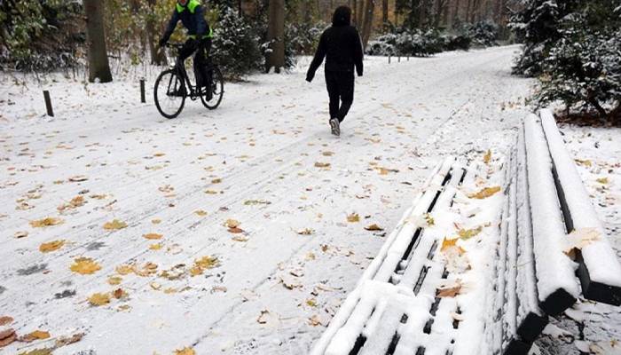 جرمنی میں شدید برفباری، روز مرہ کی زندگی مفلوج