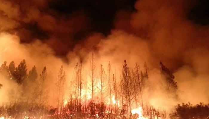 بلوچستان کے اضلاع شیرانی اور موسیٰ خیل کے جنگلات میں آگ لگ گئی