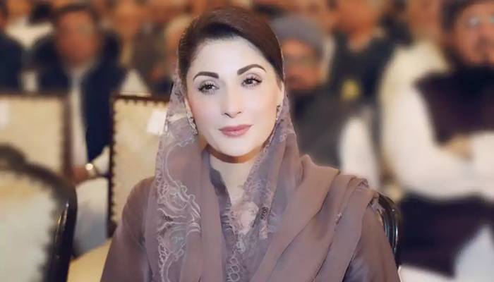 مریم نواز کے اثاثوں کی تفصیلات منظر عام پر آگئیں