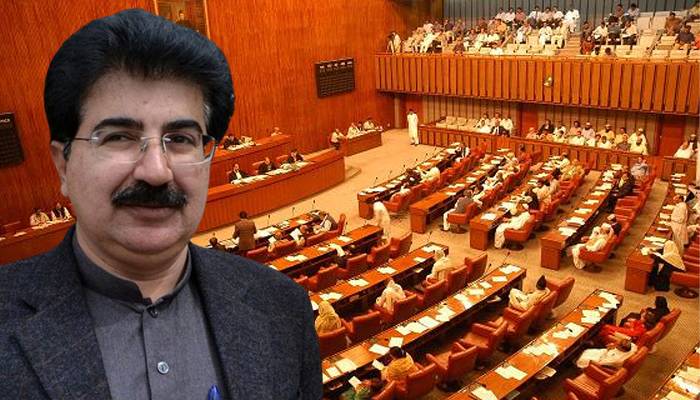 سینیٹ اجلاس: عام انتخابات ملتوی کرنے کی قرارداد کثرت رائے سے منظور