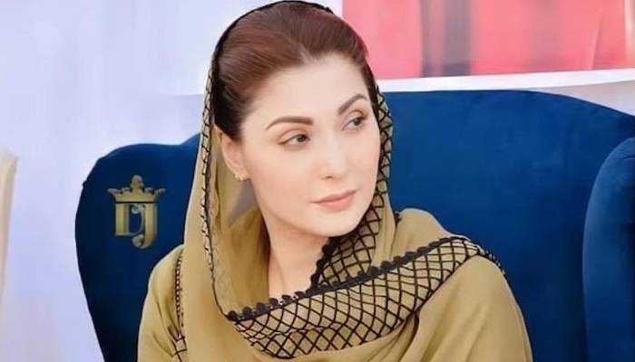 مریم نواز کی آصف زرداری کوصدرمنتخب ہونےپرمبارکباد