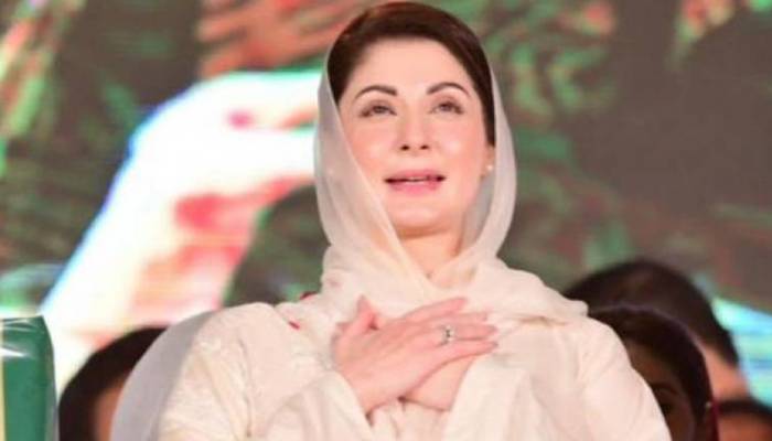 مریم نوازکاسہارا بننے والی خواتین کو خراج تحسین 