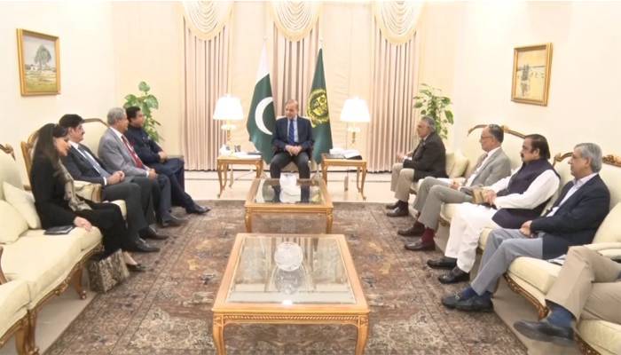 وزیراعظم سے پاکستان پیپلز پارٹی کے وفد کی ملاقات کی اندرونی کہانی