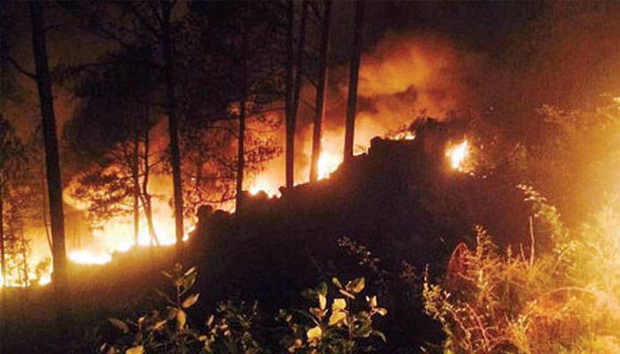 گرمی کی شدیدلہر،پی ڈی ایم اےنےجنگلات میں آتشزدگی کی رپورٹ جاری کردی