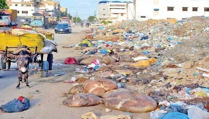 عید پر پنجاب میں جانوروں کی آلائشیں نہروں، نالوں میں پھینکنے پر پابندی عائد