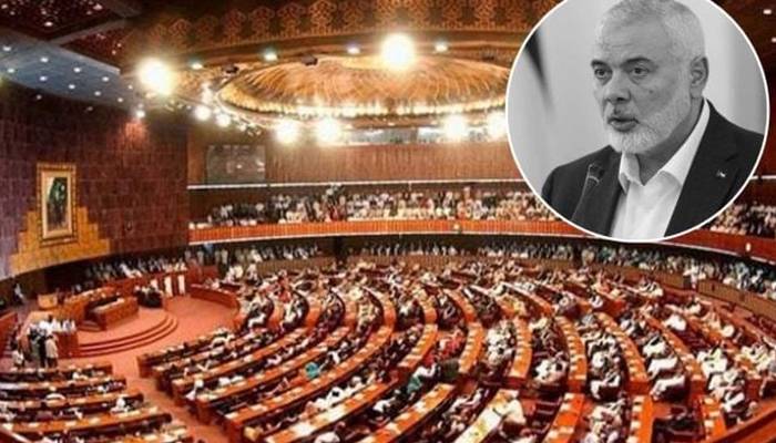 قومی اسمبلی: فلسطین کے حق اور اسماعیل ہانیہ کے قتل کیخلاف قرارداد منظور