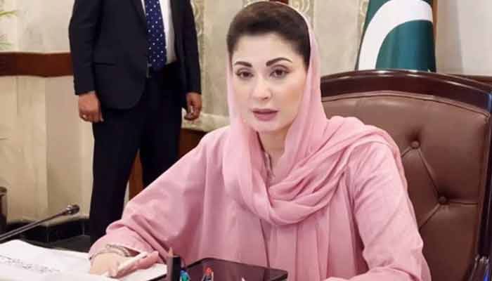  پاکستان کیلئےپنک سالٹ خزانے کے مترادف ہے،مریم نواز