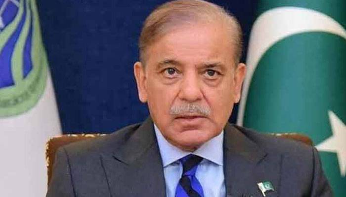 بریل نے بصارت سے محروم افرادکیلئے علم و مواصلات کے دروازے کھولے ہیں:شہباز شریف