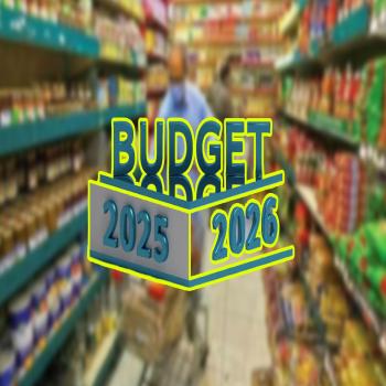 Budget 2025-26: Which everyday food items will become more expensive?